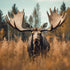 Hunting in Texas: A Hunter's Paradise