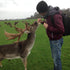 Amazing Tips and Tricks for Deer Hunting Trips in Texas