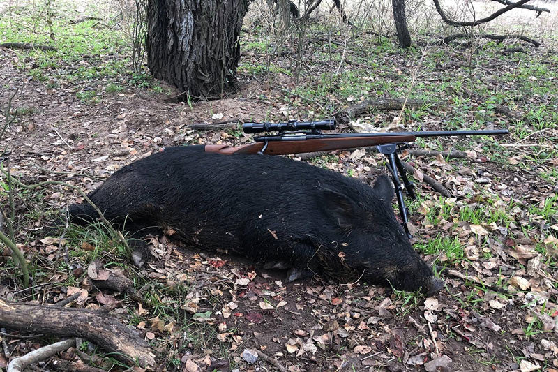 Experience the Ultimate Adventure with Exclusive Deer Hunting Packages in Texas