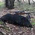 Experience the Ultimate Adventure with Exclusive Deer Hunting Packages in Texas