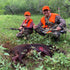 Do Outfitters Improve Texas Deer Hunting Trips?