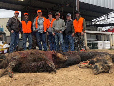 Why the Best Hog Hunting in Texas Starts Here?